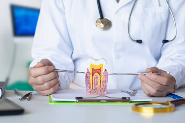 Best Emergency Dental Care for Broken or Chipped Teeth in Heath, TX